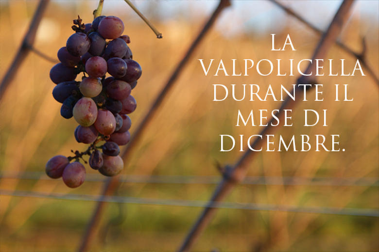 VALPOLICELLA IN DECEMBER